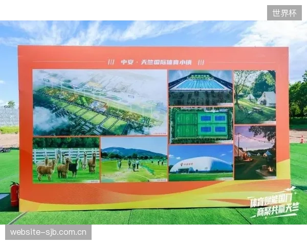 体育小镇”的并购骗局：除了房地产，承诺的体育产业配套为何最终都走向了空心化？